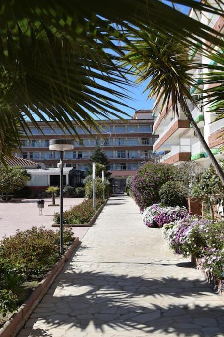 Alegre Apto Con Piscina, A 300M De La Playa. 블랑스 외부 사진