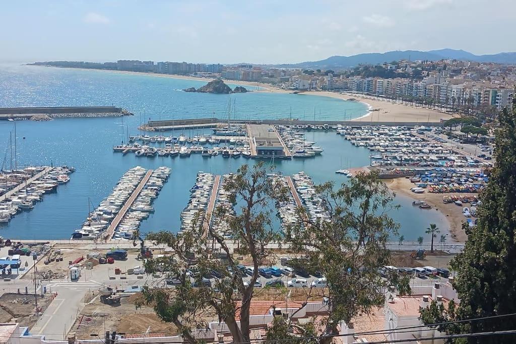 Alegre Apto Con Piscina, A 300M De La Playa. 블랑스 외부 사진