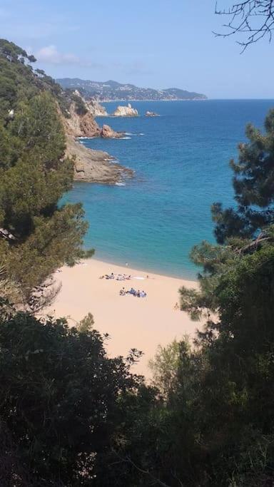 Alegre Apto Con Piscina, A 300M De La Playa. 블랑스 외부 사진