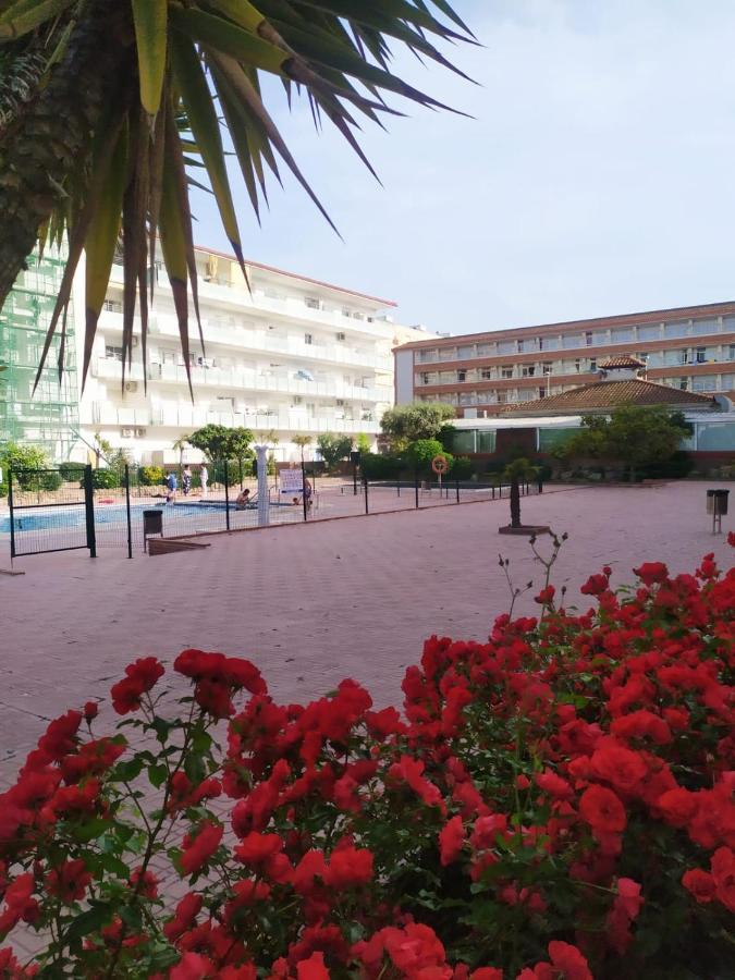 Alegre Apto Con Piscina, A 300M De La Playa. 블랑스 외부 사진